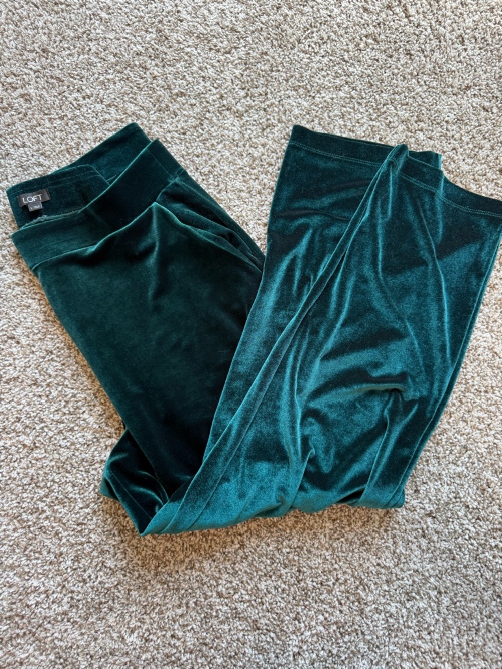 LOFT Velvet Pull-On Pants in Deep Green